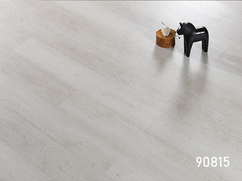 90815 EIR laminate wood floor